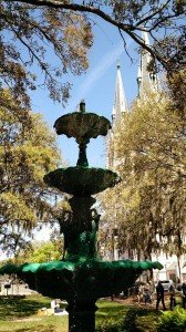 Savannah fountain