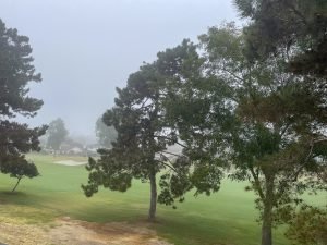 Photo from our back yard on July 1