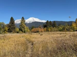 Mount Shasta