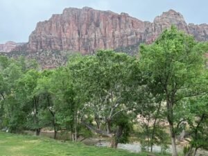 Zion National Park is our backyard