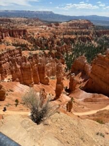 Bryce Canyon Hoodoos